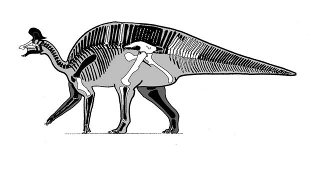 A picture containing dinosaur  Description automatically generated