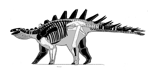 A close up of a dinosaur  Description automatically generated